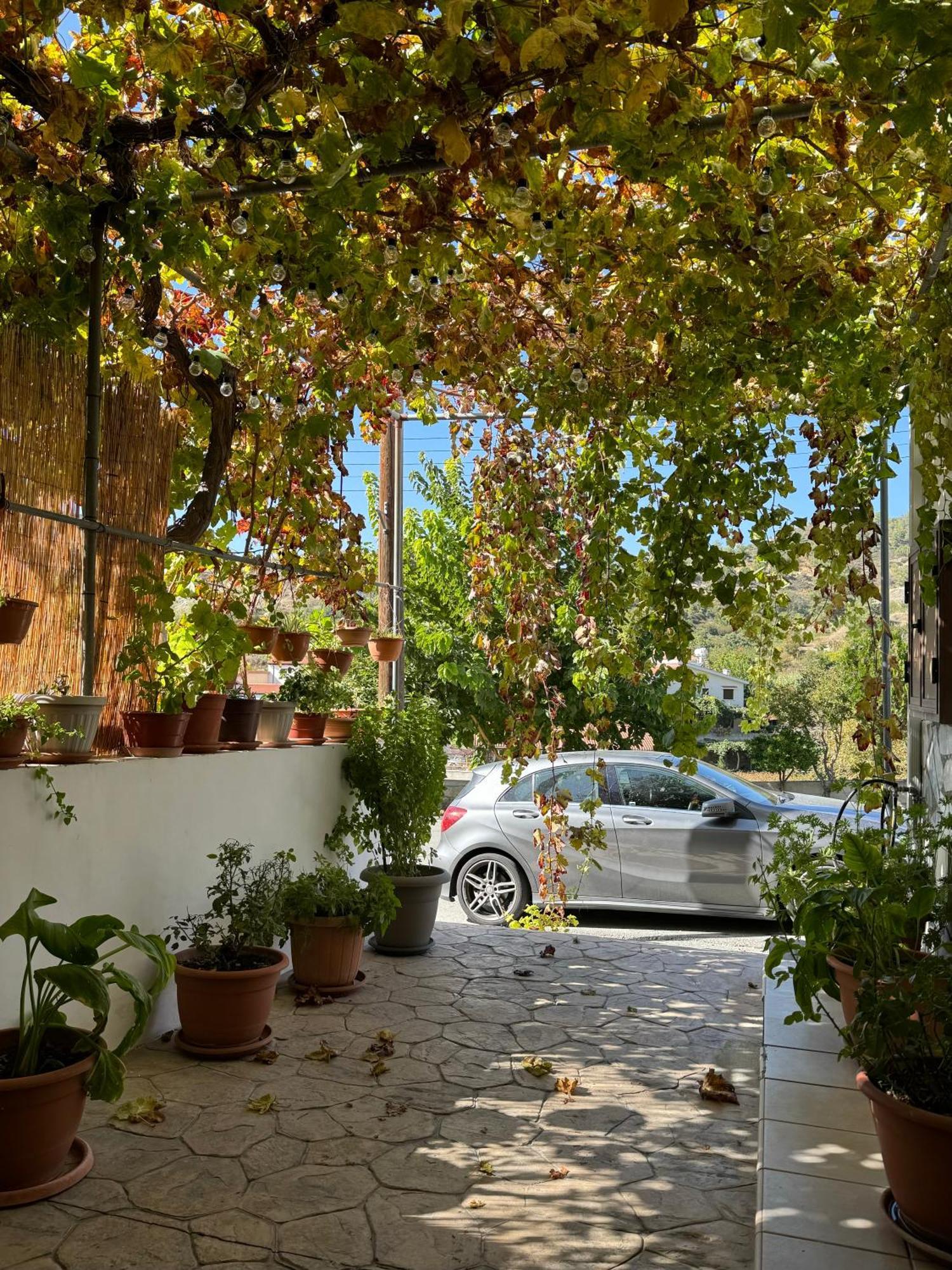 Στου Στεφανή Villa Agros Exterior foto